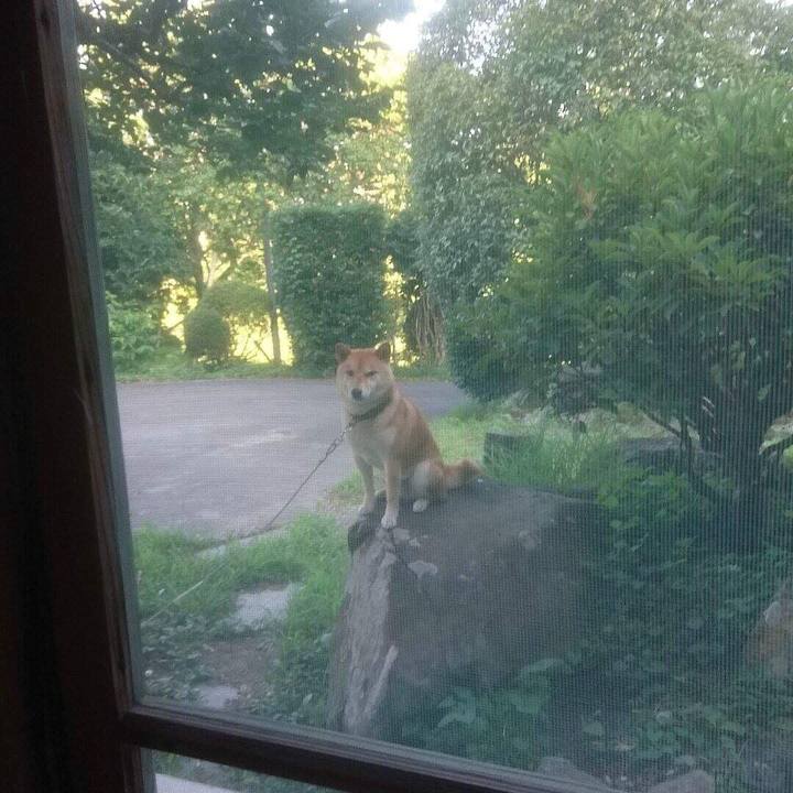 6a355a52 79ff 4bd5 a0c4 e169fd1bb1e2