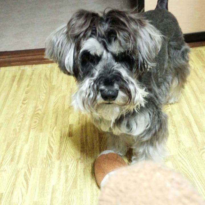 6a358d1d 6948 4f9b b370 0d3b623a1ae6