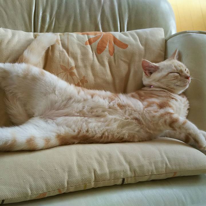 6a35a7c5 4963 4306 b520 3dc3cf99624c