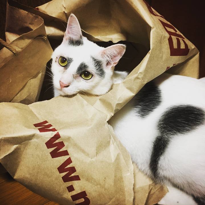 6a36751f b788 4417 8236 1ed658b8e41b