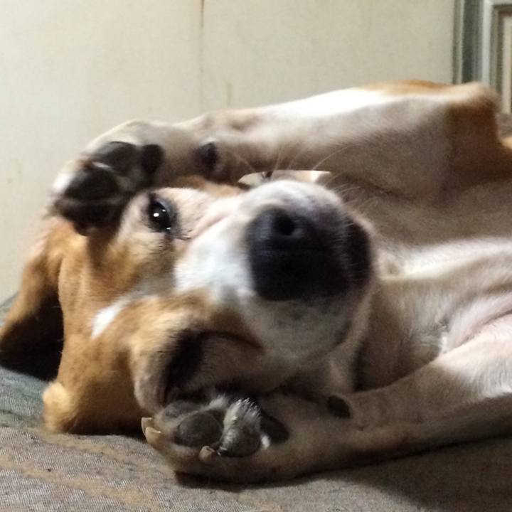 6a36958d 8227 4011 a619 bb3e1e0fb830