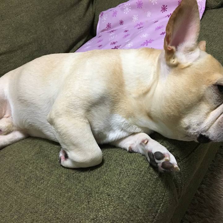 6a369b25 3387 41f6 8557 6c4f77401249