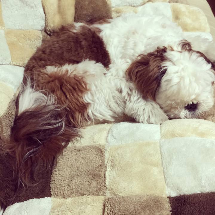 6a369e50 00c3 46d0 9782 296a300610d4