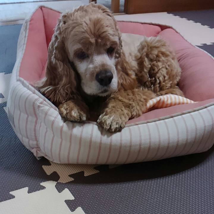 6a36f280 b18f 4100 aa08 7e17a937a25e