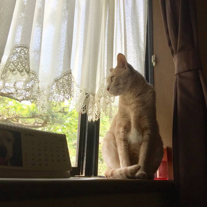 6a371744 7a40 4501 9282 15ff5fa1f697