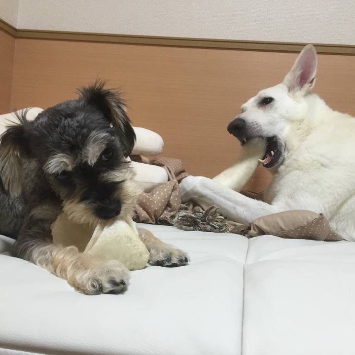 6a373a1c 1967 4471 a161 cfb262b39f50