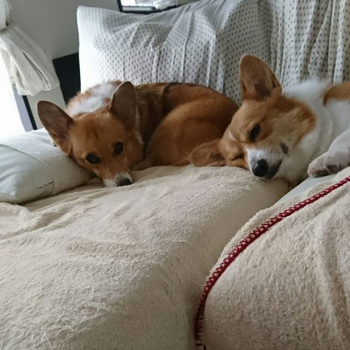 6a3745c5 0793 461e ad5e f46ff4684435