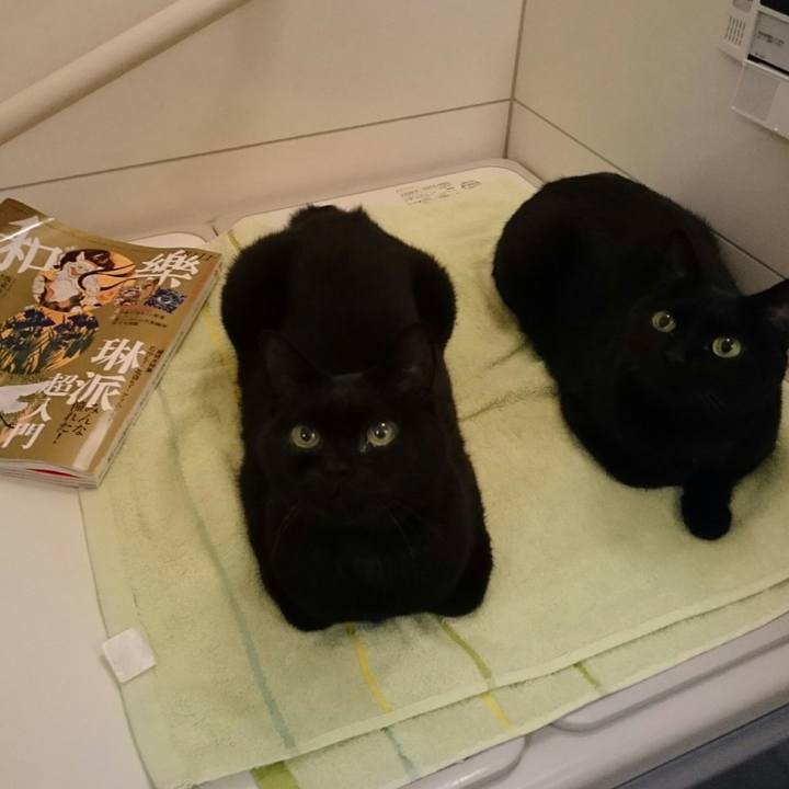 6a37c20f f04b 4b18 b48f b42df9c6b091