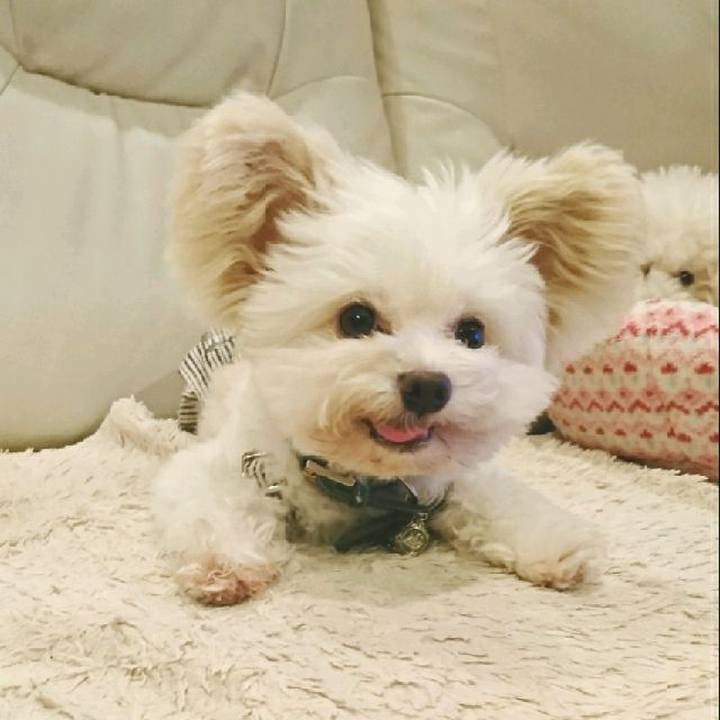 6a382cfe 8c7a 4a21 9e2e 064c9a360cb3