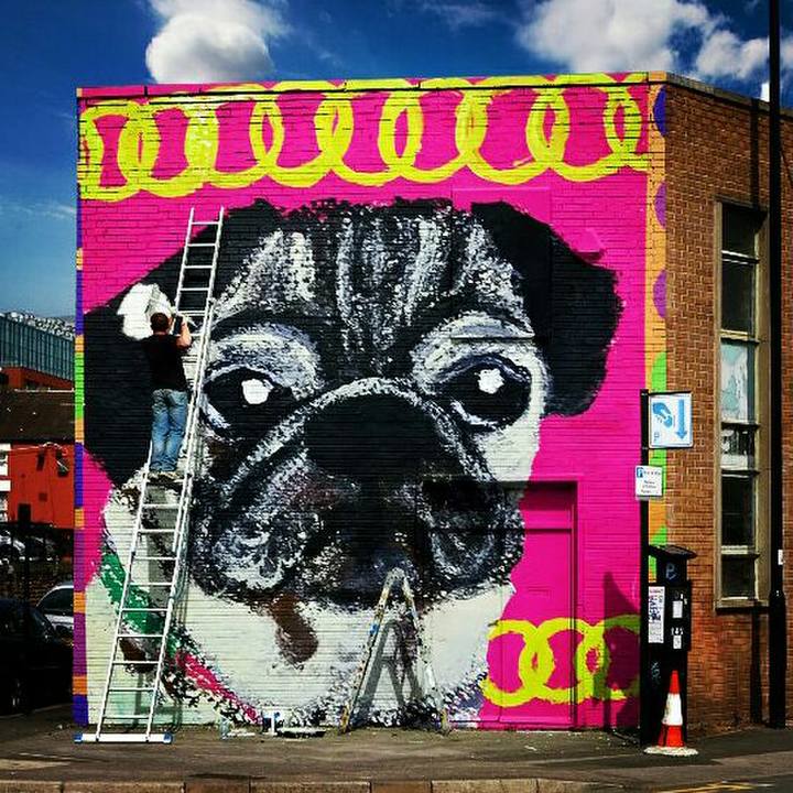 6a3886ae 786f 4e04 bd4e 9762e3ac8a03