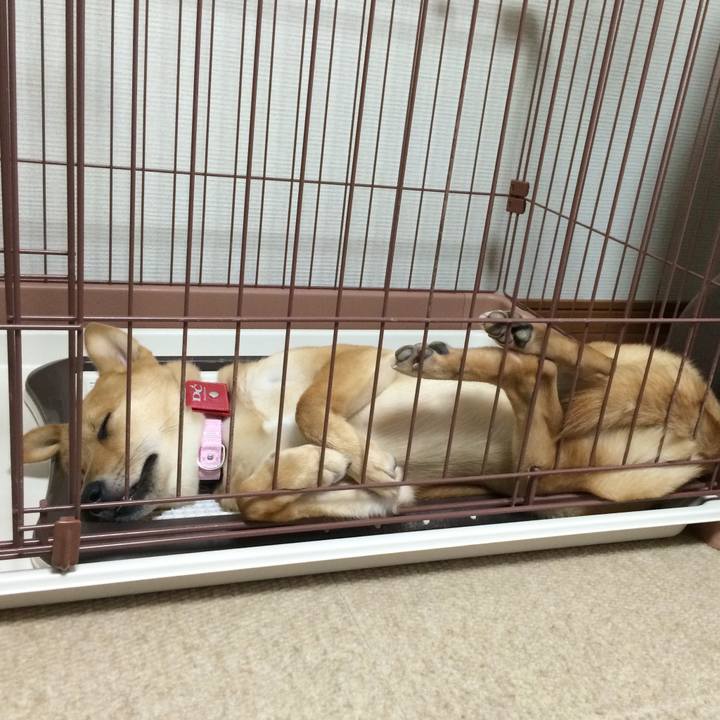 6a3934bd c53a 4bda bd7d b964f3c9b982