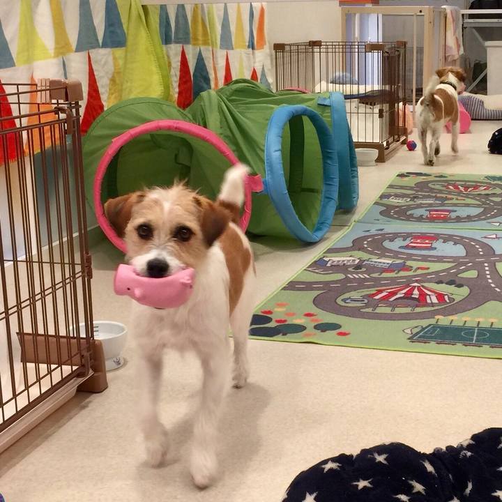 6a3948fc b8fe 4975 bfcd c4e336c6de73