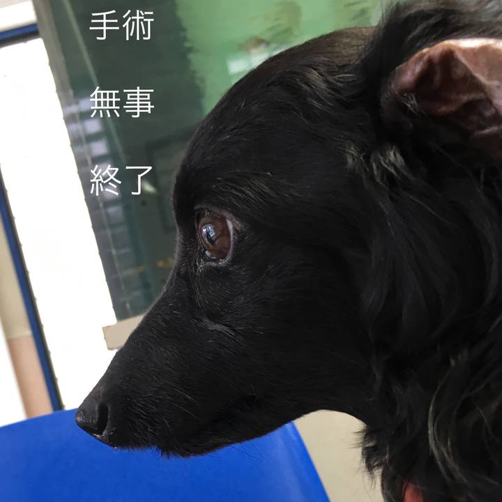 6a3a28b7 0ede 4b65 98d9 1534e90747c7