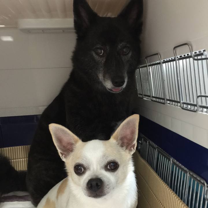 6a3a97f3 0d1e 4bc0 98f3 315c6071befa