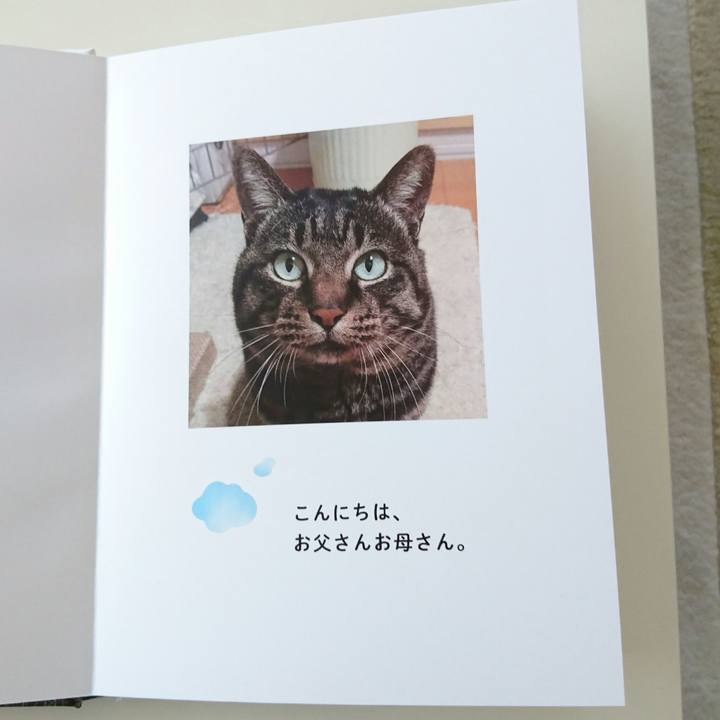 6a3a9bb2 611f 4843 8318 414f49a42386