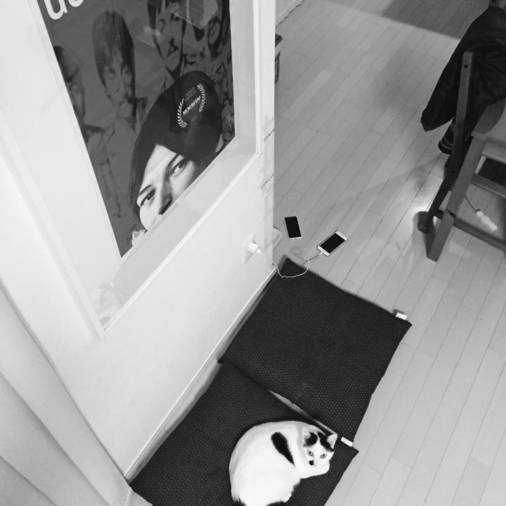 6a3ab487 d089 48f8 8e2b 6b0f3cf91389