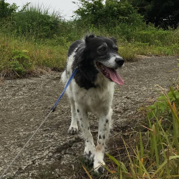 6a3aea17 6e1c 4740 8e23 2d66746a91de