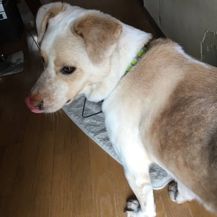 6a3afa07 d32f 4a99 a95a ab0c0299fc86