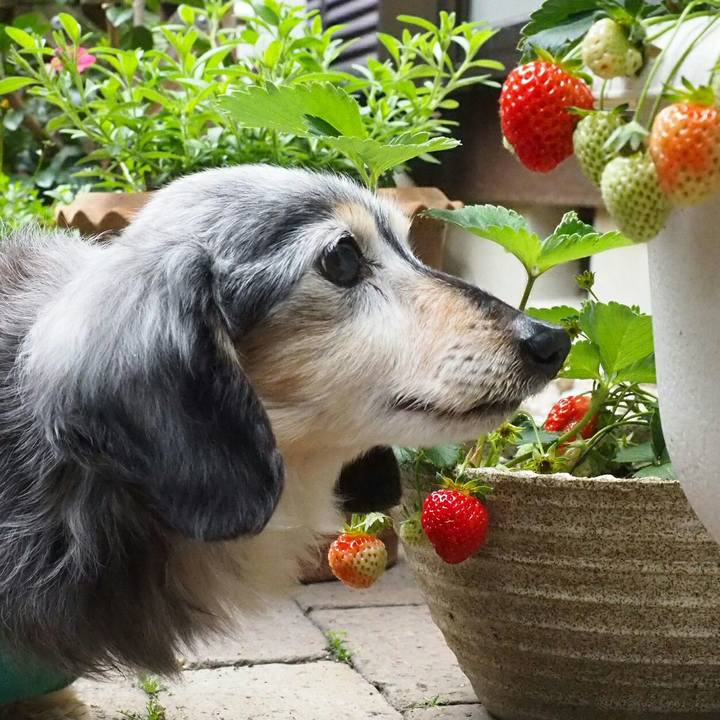 6a3ba820 7225 41ab b43b 5e87b53d50ab