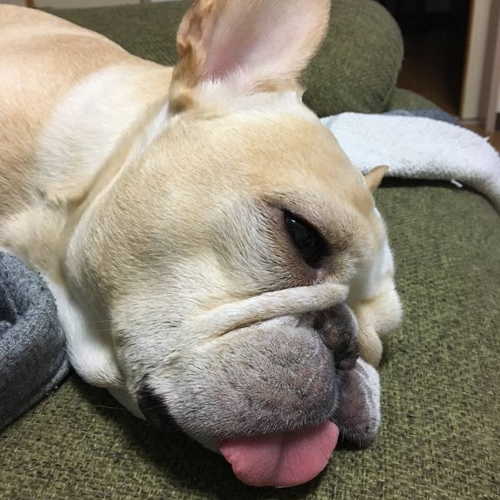 6a3baa14 8192 4577 8a44 ef23cdf29682