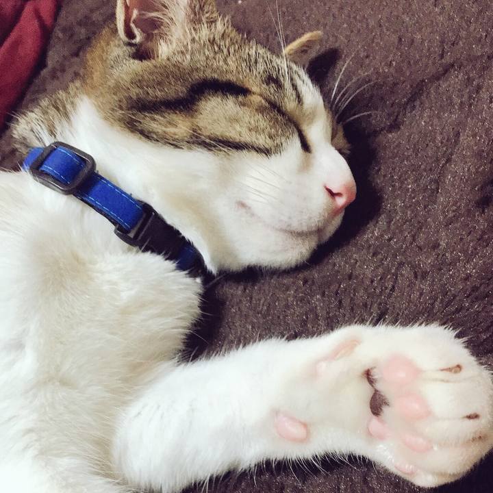 6a3c2717 dacd 4e8b a260 13195b087e3c