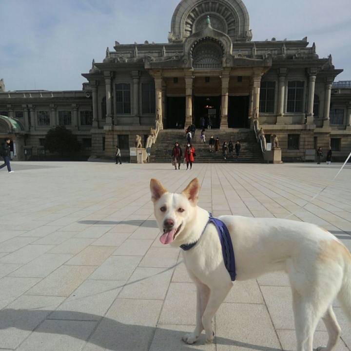 6a3c79dd d8b7 476e 9531 e90c75f31e8d