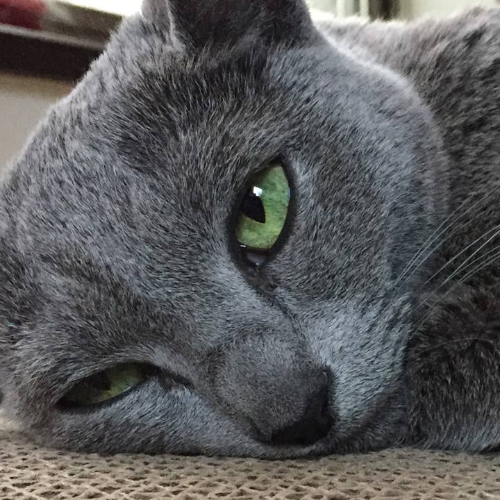 6a3cd544 451f 47db ba9d c31df6cf3454