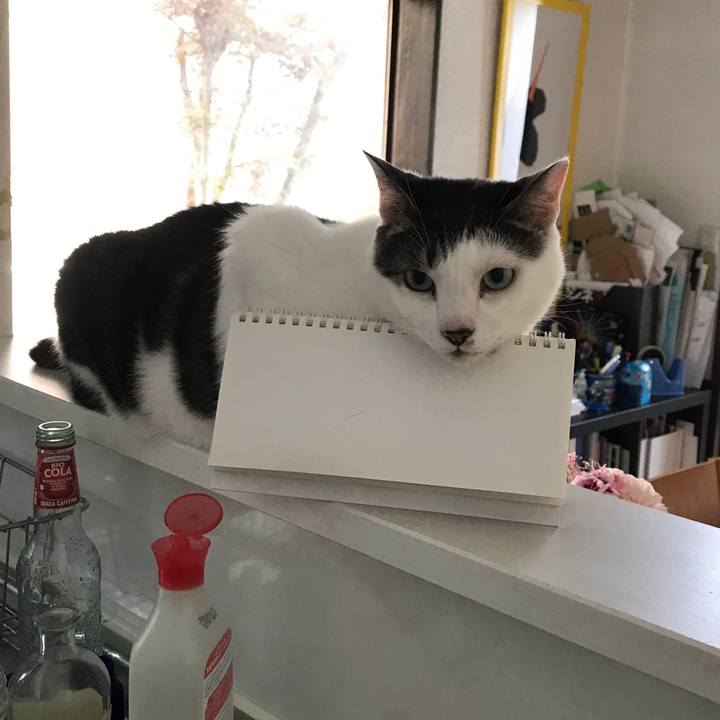 6a3d16c5 74c0 4b42 8d7e 4d55e911aeb3