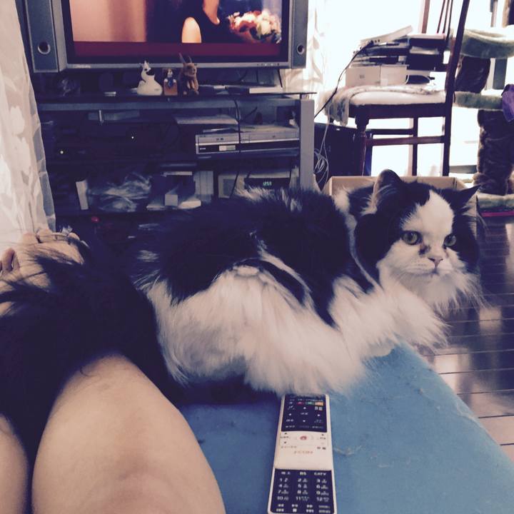 6a3e083c 57be 4dda bff8 ef2994f1f733