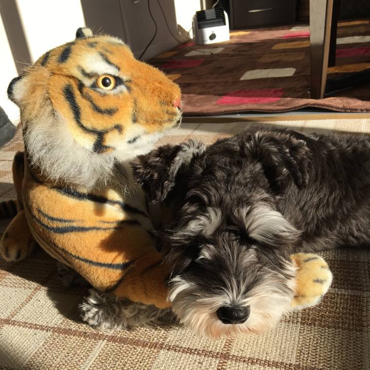 6a3e2a45 8ac4 4a0b bbdc 08e54c78f934