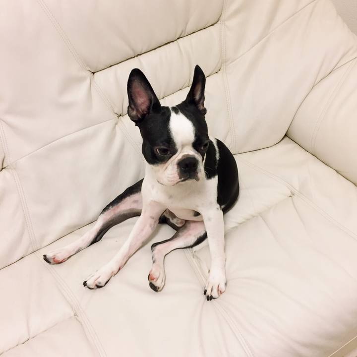 6a3e57f0 3737 4279 815e ac8e44336065