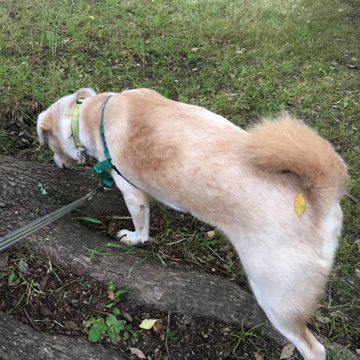 6a3edd72 09d8 4a32 8316 c9361d82eba1