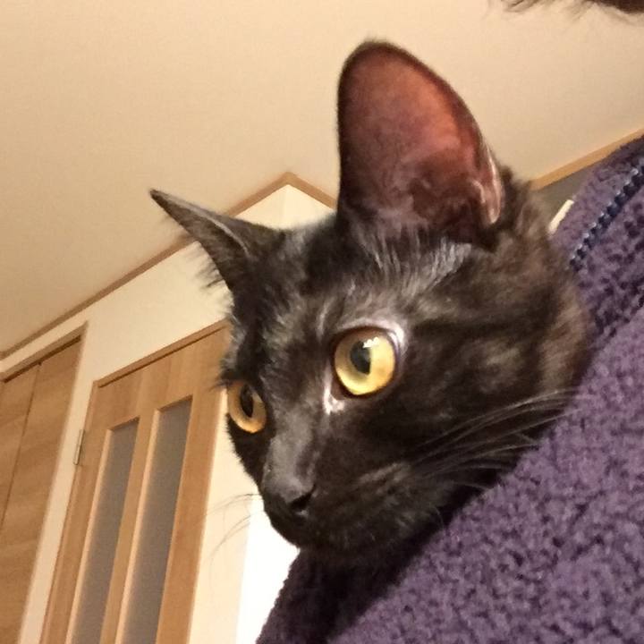 6a3fc261 5a7f 4626 9e8a a3197855c16e