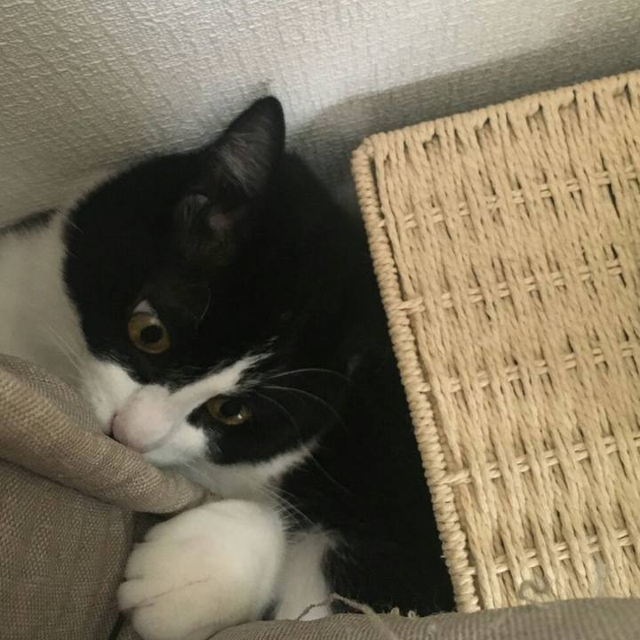 6a3fc706 5092 4465 8be1 3f81b27575c6