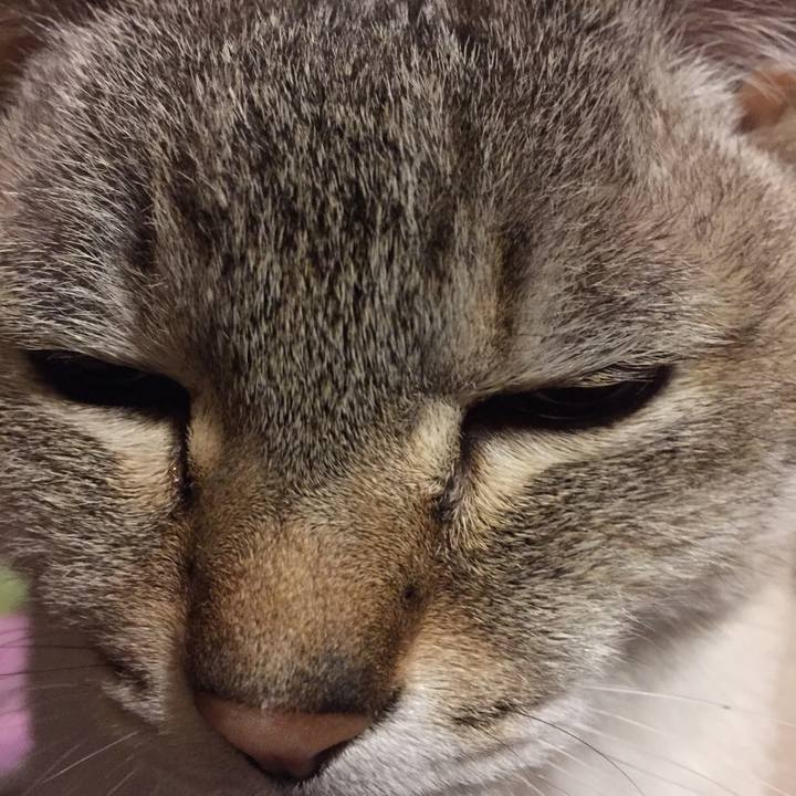 6a4084d1 9be8 44f3 8386 18392e844800