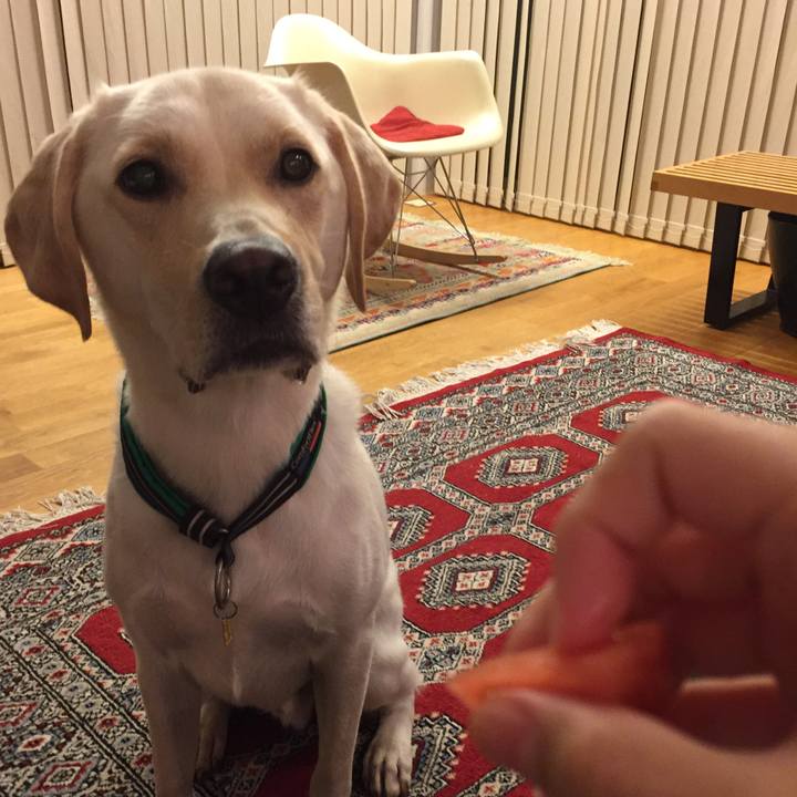 6a40b03a bbff 4a42 8414 d69b053c32aa