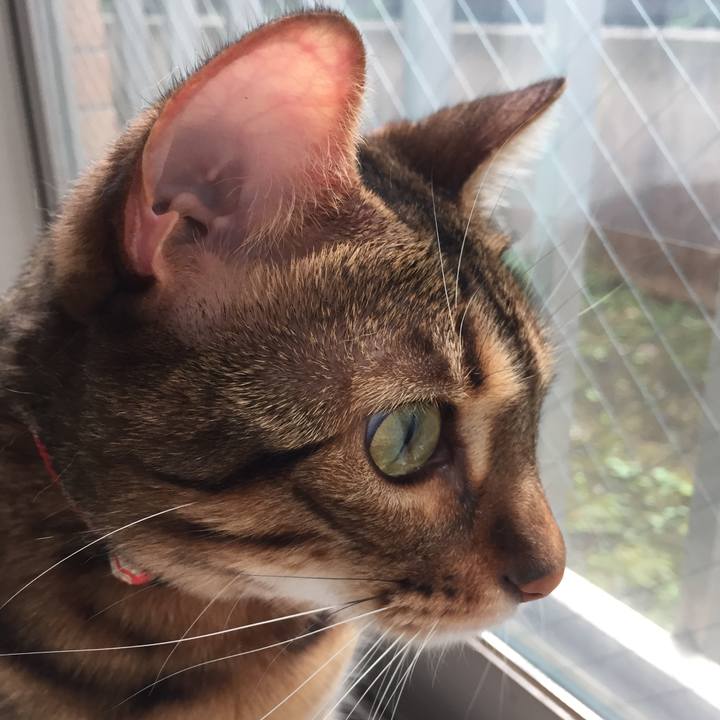 6a415ffa 9e43 4b9a 9a55 442cdbcfc480