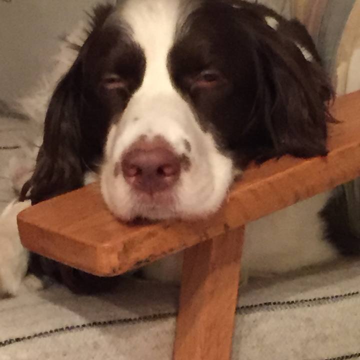 6a41bbfb c2b5 4410 a165 50595d54f3ad