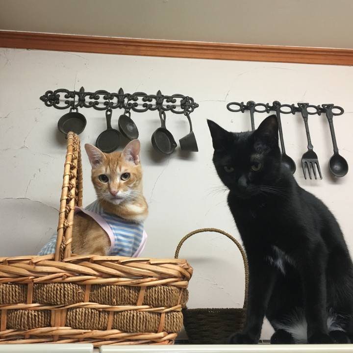 6a426f58 396e 4962 962a dcdeec6a6925