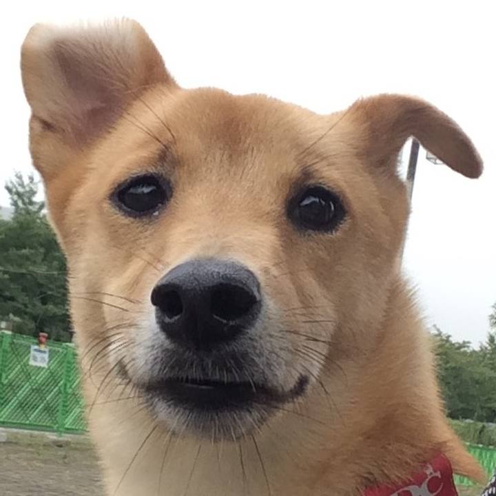 6a42db8d 32fa 4de2 b827 e7a47285392a