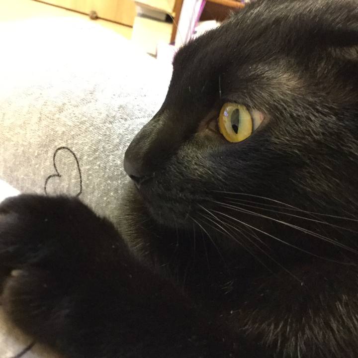 6a42e234 58e0 4885 ae69 39929b37b7fa