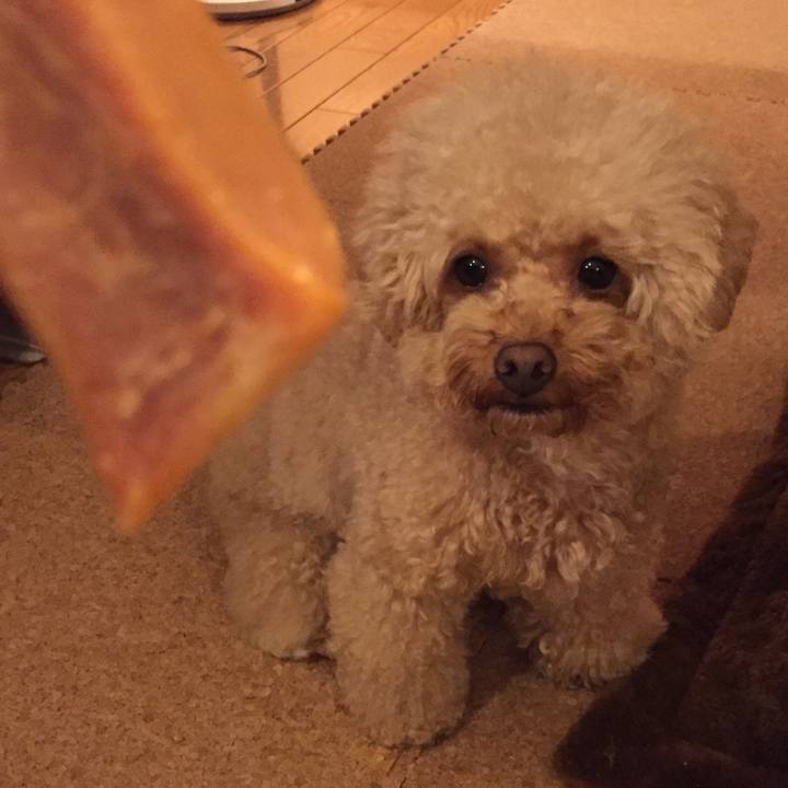 6a431aeb 02dc 4a04 bca6 125a3c55834f