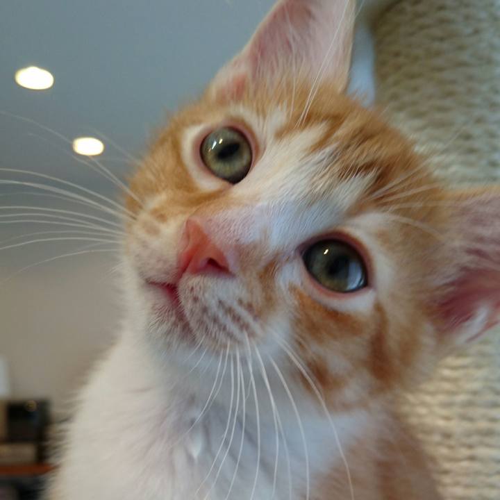 6a439b20 5bb1 41af 8cb6 50377ed3d560