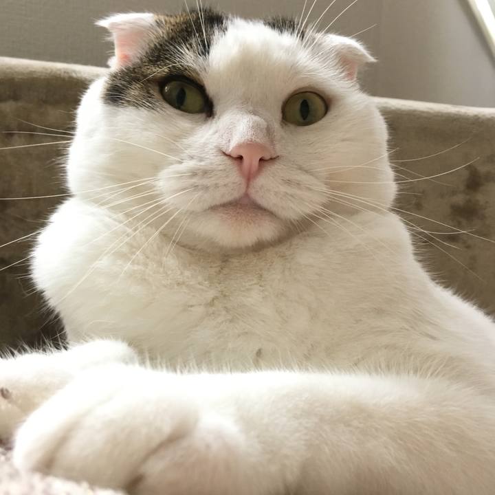 6a43e59d 3cf5 4d92 81b0 2c12c89d9801