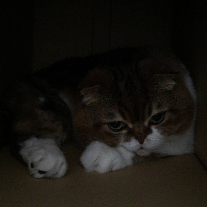 6a446c0b b5e4 4e77 9d89 15e5a208135f