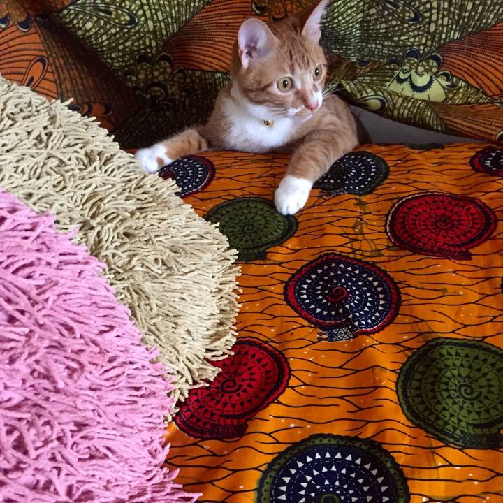 6a450ee5 98d8 44fe b042 48f2826e1612