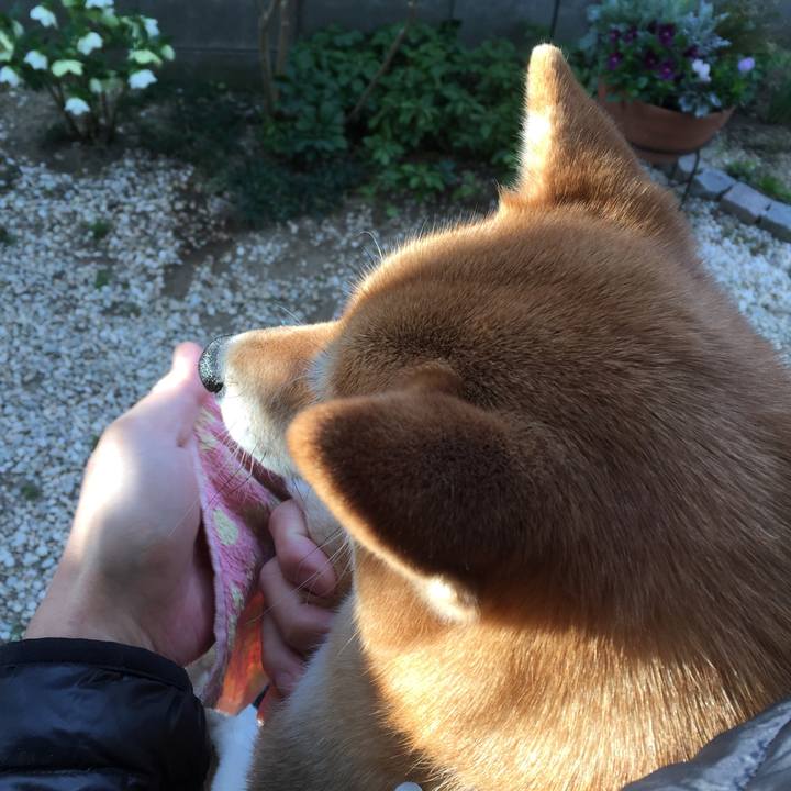 6a4630ea 33c9 42ca a65b 4f68069fb597