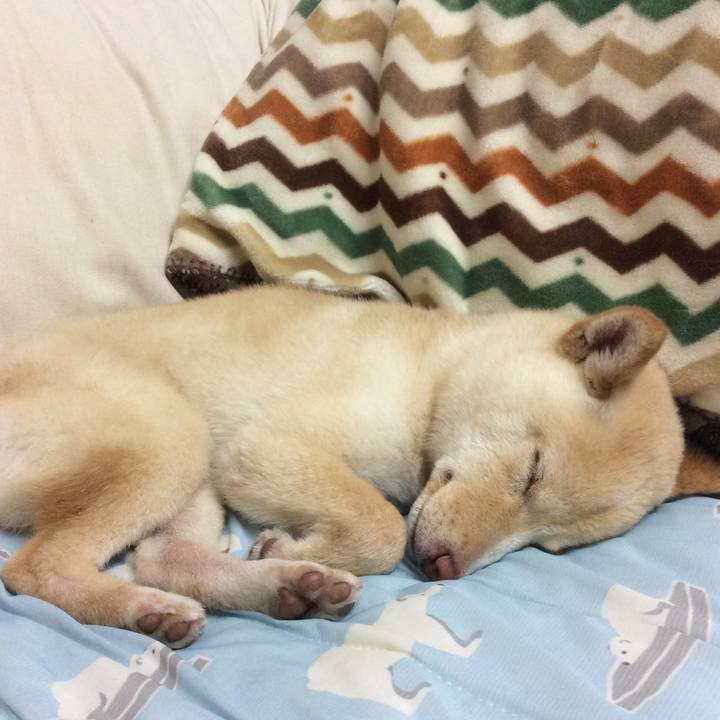 6a463f06 626f 49f2 b2e1 38dfd23e5773