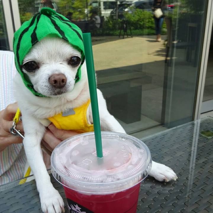 6a467298 b209 4e6f 96fa 621fa9216760