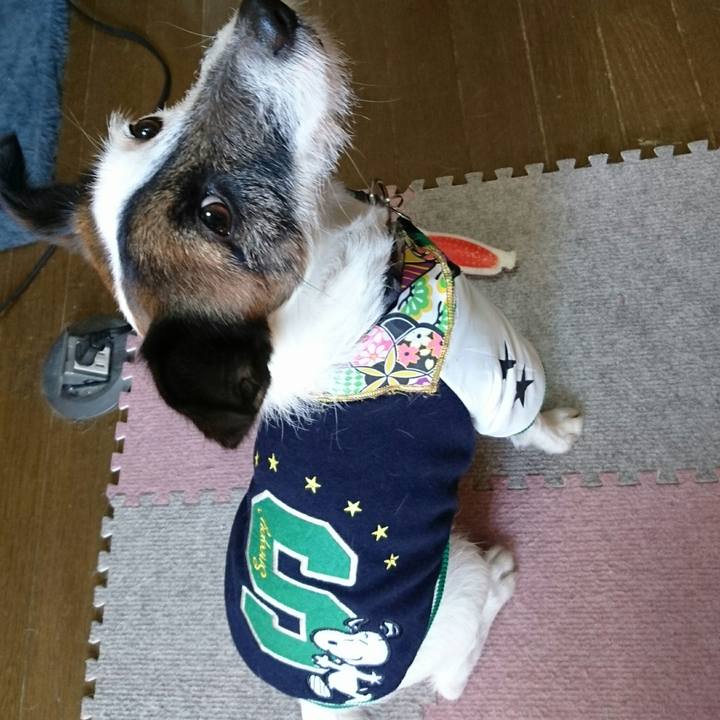 6a4683ec 7633 4a6c b3e9 a0420e79fb7d